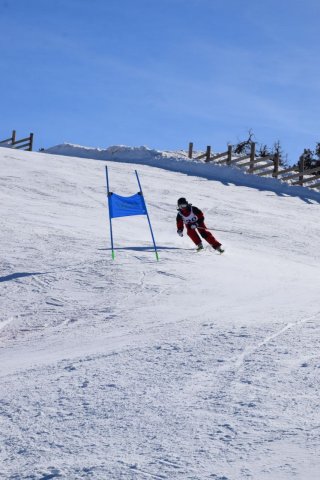 Чемпионат Узбекистана 2024